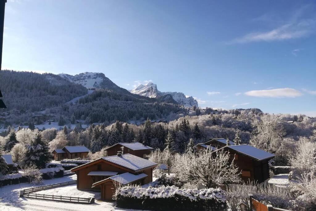 Ferienwohnung Eden Roc Grand Massif Les Carroz-d'Araches Exterior foto