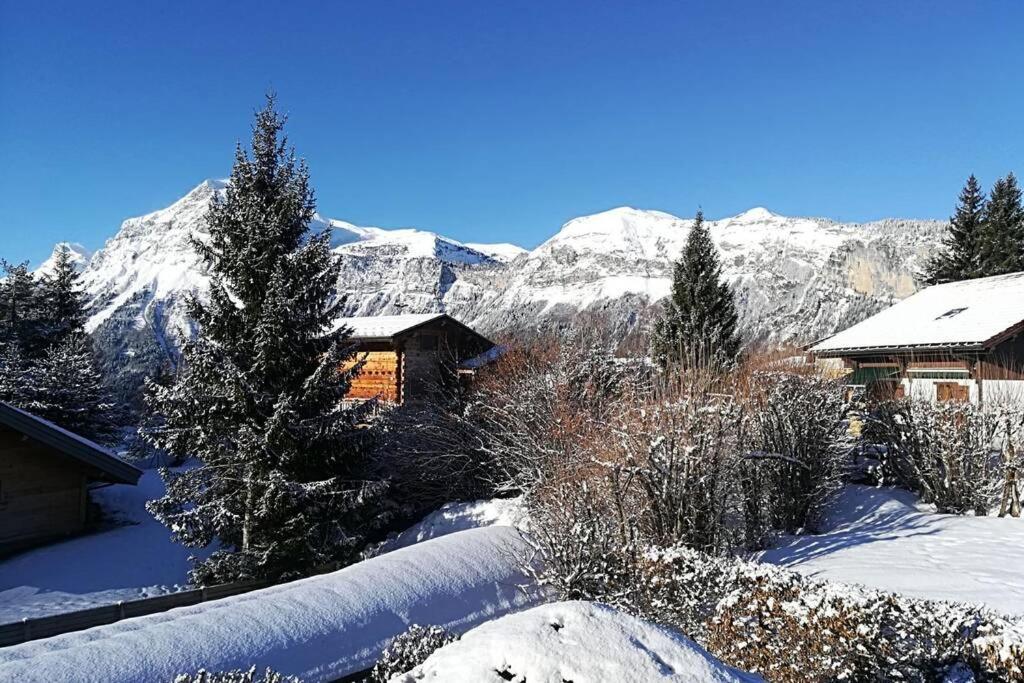 Ferienwohnung Eden Roc Grand Massif Les Carroz-d'Araches Exterior foto